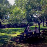 Picknick mit Frank Roeder im Napa Valley