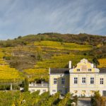 Kellerschlössel der Domäne Wachau