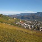 Tramin in Südtirol