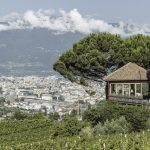 Weingut Loacker Skywine Pavillon