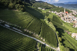 Weinortschaft Tramin an der Südtiroler Weinstraße