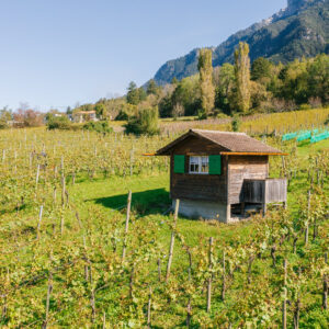 Rebanlage Schaan in Liechtenstein