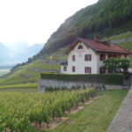 Clos du Rocher nei Aigle