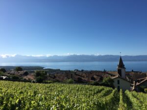 Weinbauort Bougy-Villars am Genfersee