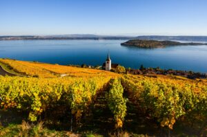 Weinbauort Ligerz am Bielersee im Kanton Bern