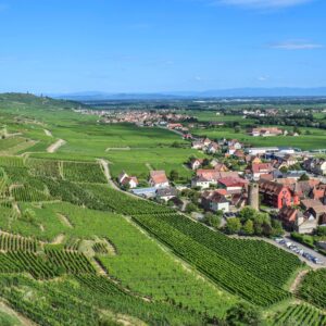 Weinort Kayserberg bei Colmar