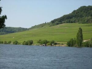 Weinberge an der Luxemburgischen Mosel